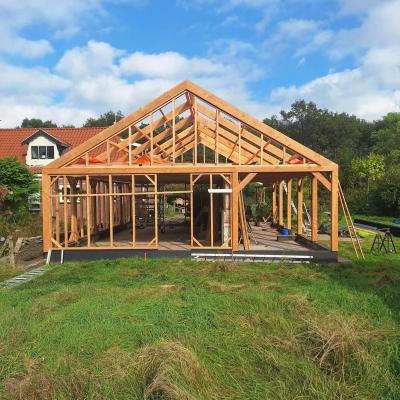 Mini 20240924 153201