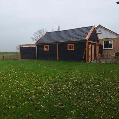 Mini 20241101 112613