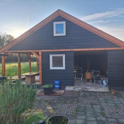 Mini 20241129 144645